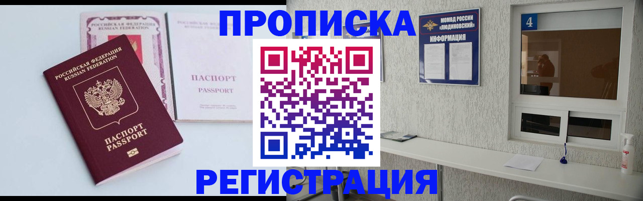 временная прописка в Щёлково